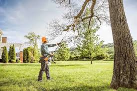 Best Grass Overseeding  in Orange Grove, TX