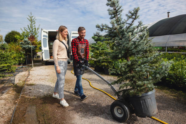 Best Tree Cabling and Bracing  in Orange Grove, TX